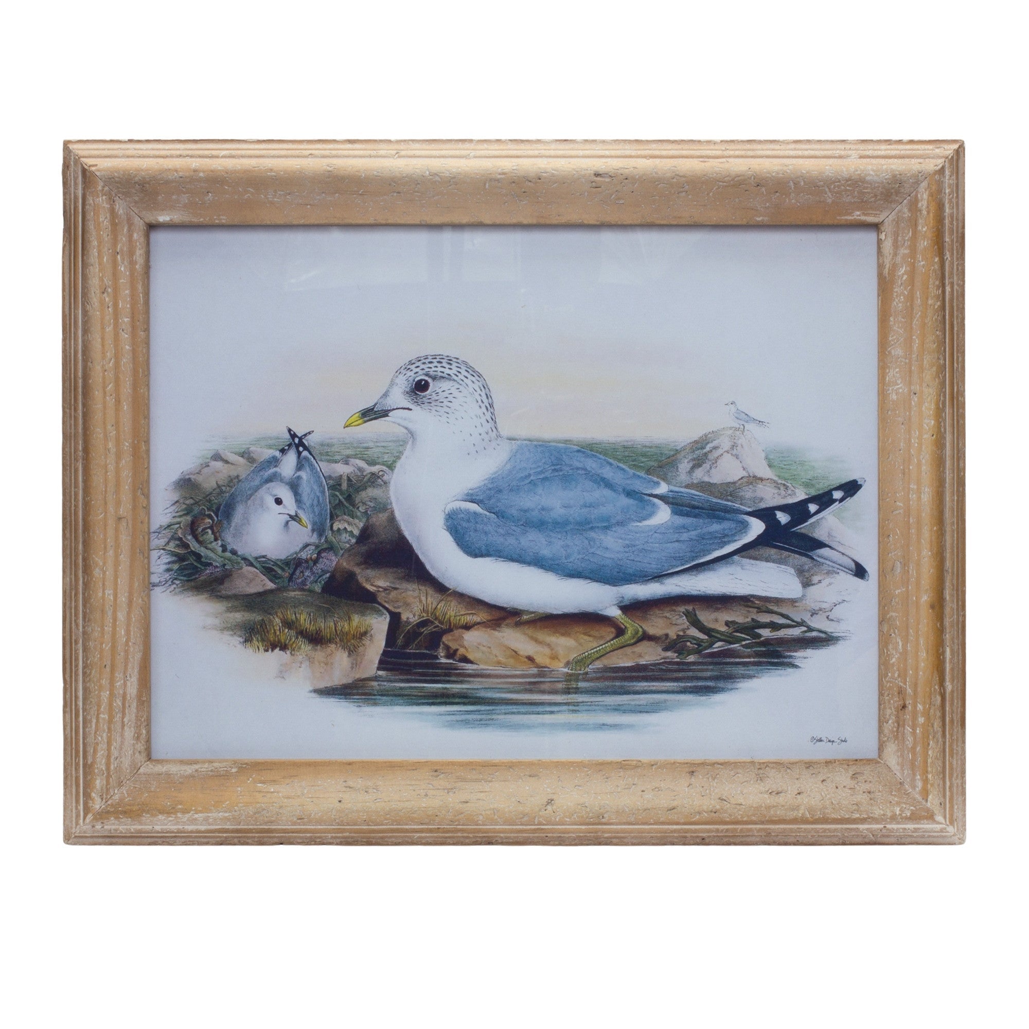 Blue Solid Wood Bird Wall Decor - Montana Home & Kitchen Co.