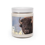 MHKC Scented Candles, 9oz - Montana Home & Kitchen Co.