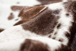 Natural Cowhide Area Rug Brown And White Spotted - Montana Home & Kitchen Co.