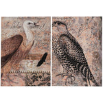 Set of 2 Antique Post Card Birds Wall Art - Montana Home & Kitchen Co.