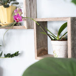 Set Of 3 Square Rustic White Wash Wood Open Box Shelve - Montana Home & Kitchen Co.