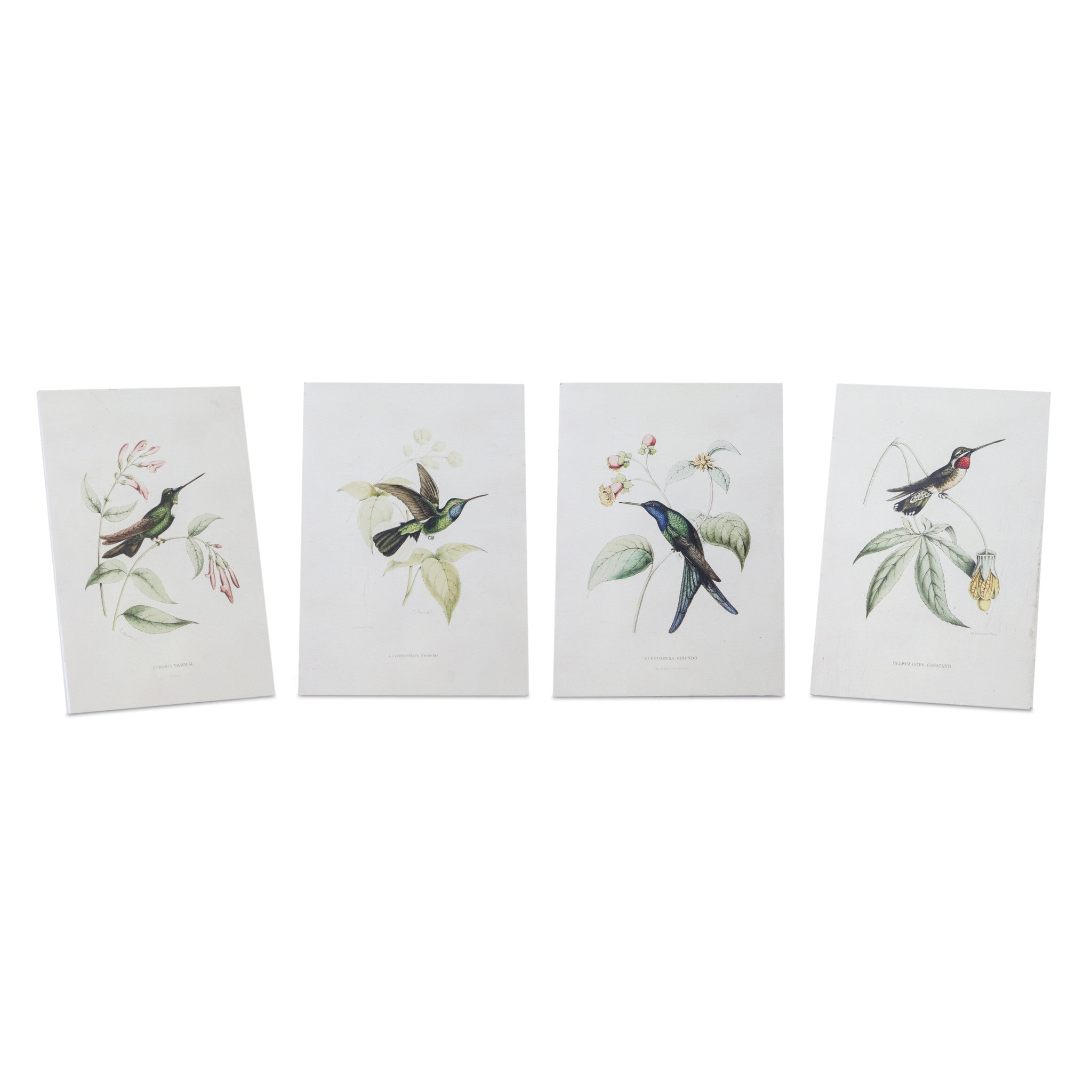 Set Of Four White Hummingbird Wall Decor - Montana Home & Kitchen Co.