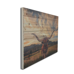 Unframed Wood Plank Photograph Wall Art - Montana Home & Kitchen Co.